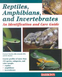 Produktbild: Reptiles, Amphibians and Invertebrates