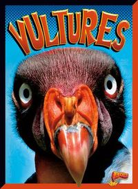 Produktbild: Vultures