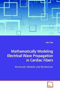 Produktbild: Cain, J: Mathematically Modeling Electrical Wave Propagation