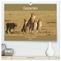 Produktbild: Geparden - Ein Leben in Afrika (hochwertiger Premium Wandkalender 2027 DIN A2 quer), Kunstdruck in Hochglanz