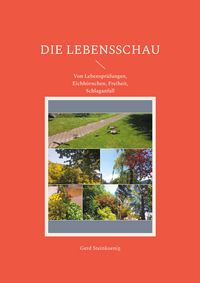 Produktbild: Die Lebensschau