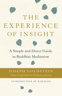 Produktbild: The Experience of Insight