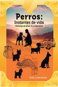 Produktbild: Perros: Instantes de vida