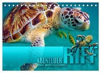 Produktbild: Abenteuer Riff - bunte Unterwasserwelt (Tischkalender 2026 DIN A5 quer), CALVENDO Monatskalender