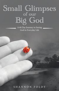 Produktbild: Small Glimpses of Our Big God