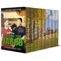 Produktbild: A Lancaster Amish Home for Jacob 9-Book Boxed Set