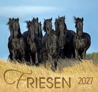 Produktbild: Friesen 2027
