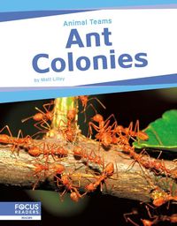 Produktbild: Ant Colonies