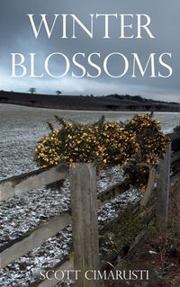 Produktbild: Winter Blossoms