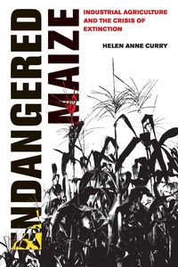 Produktbild: Endangered Maize