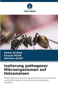 Produktbild: Isolierung pathogener Mikroorganismen auf Holzameisen