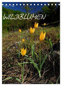 Produktbild: WILDBLUMEN (Tischkalender 2026 DIN A5 hoch), CALVENDO Monatskalender
