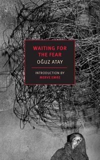 Produktbild: Waiting for the Fear