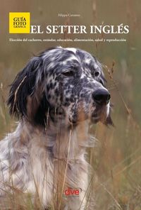 Produktbild: El setter ingl&eacute;s