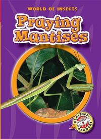 Produktbild: Praying Mantises