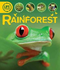 Produktbild: Rainforest