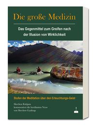 Produktbild: Die gro&szlig;e Medizin