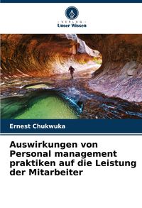 Produktbild: Auswirkungen von Personal management praktiken auf die Leistung der Mitarbeiter