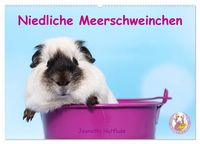 Produktbild: Niedliche Meerschweinchen (Wandkalender 2027 DIN A2 quer), CALVENDO Monatskalender