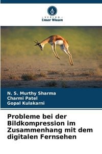 Produktbild: Probleme bei der Bildkompression im Zusammenhang mit dem digitalen Fernsehen