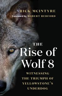 Produktbild: The Rise of Wolf 8