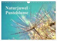 Produktbild: Naturjuwel Pusteblume (Wandkalender 2026 DIN A4 quer), CALVENDO Monatskalender