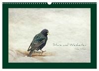 Produktbild: Stare und Weisheiten (Wandkalender 2027 DIN A3 quer), CALVENDO Monatskalender