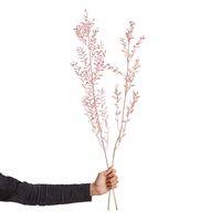Bild vom Artikel BUTLERS FLOWER MARKET Trockenblumen Ruscus Länge 65cm vom Autor 