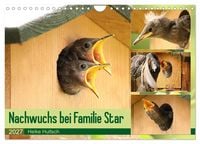 Produktbild: Nachwuchs bei Familie Star (Wandkalender 2027 DIN A4 quer), CALVENDO Monatskalender
