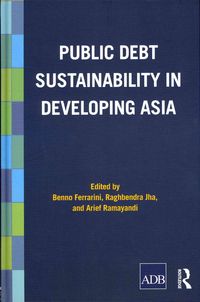 Produktbild: Public Debt Sustainability in Developing Asia
