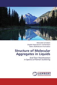 Produktbild: Structure of Molecular Aggregates in Liquids