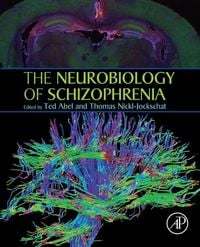 Produktbild: The Neurobiology of Schizophrenia