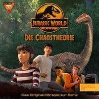 Produktbild: Folge 33: Eine lange Nacht / Wer solche Freunde hat (1) [Das Original-Hörspiel zur Serie]