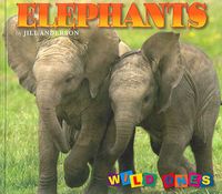Bild vom Artikel Anderson, J: Elephants vom Autor Jill Anderson