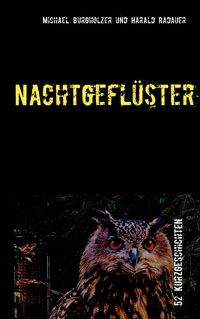 Produktbild: Nachtgefl&uuml;ster