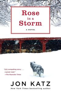 Produktbild: Rose in a Storm