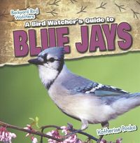 Produktbild: A Bird Watcher's Guide to Blue Jays