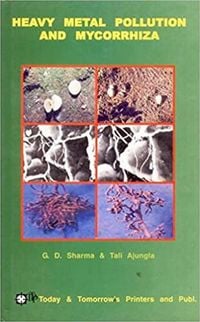 Produktbild: Heavy Metal Pollution and Mycorrhiza