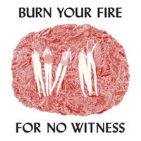 Bild vom Artikel Burn Your Fire For No Witness vom Autor Angel Olsen