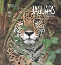 Produktbild: Living Wild: Jaguars