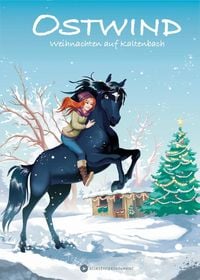 Produktbild: Ostwind - Weihnachten auf Kaltenbach