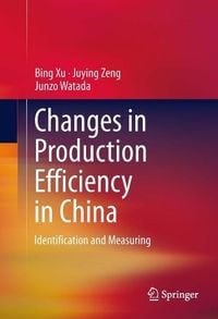 Produktbild: Changes in Production Efficiency in China