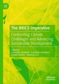 Produktbild: The BRICS Imperative