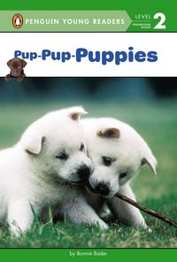 Produktbild: Pup-Pup-Puppies