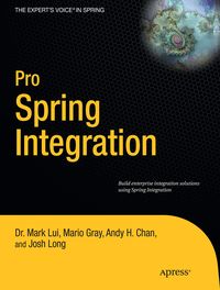 Produktbild: Pro Spring Integration