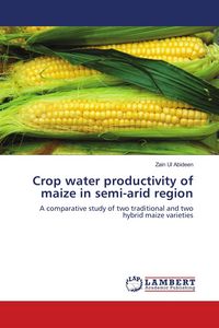 Produktbild: Crop water productivity of maize in semi-arid region