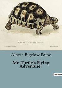 Produktbild: Mr. Turtle's Flying Adventure