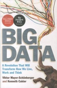 Produktbild: Mayer-Sch&ouml;nberger, V: Big Data