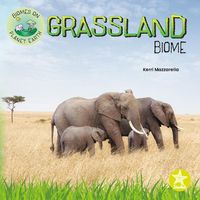Produktbild: Grassland Biome
