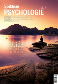 Bild vom Artikel Spektrum Psychologie - Stille vom Autor Spektrum der Wissenschaft